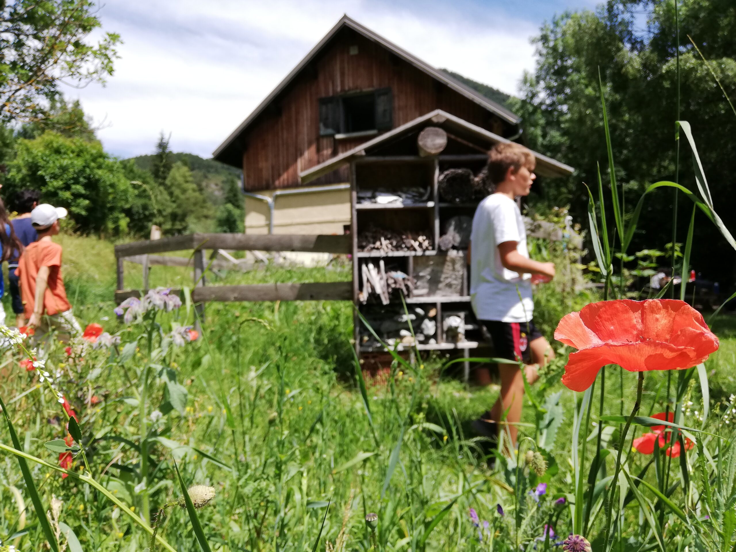 Maison dans la nature