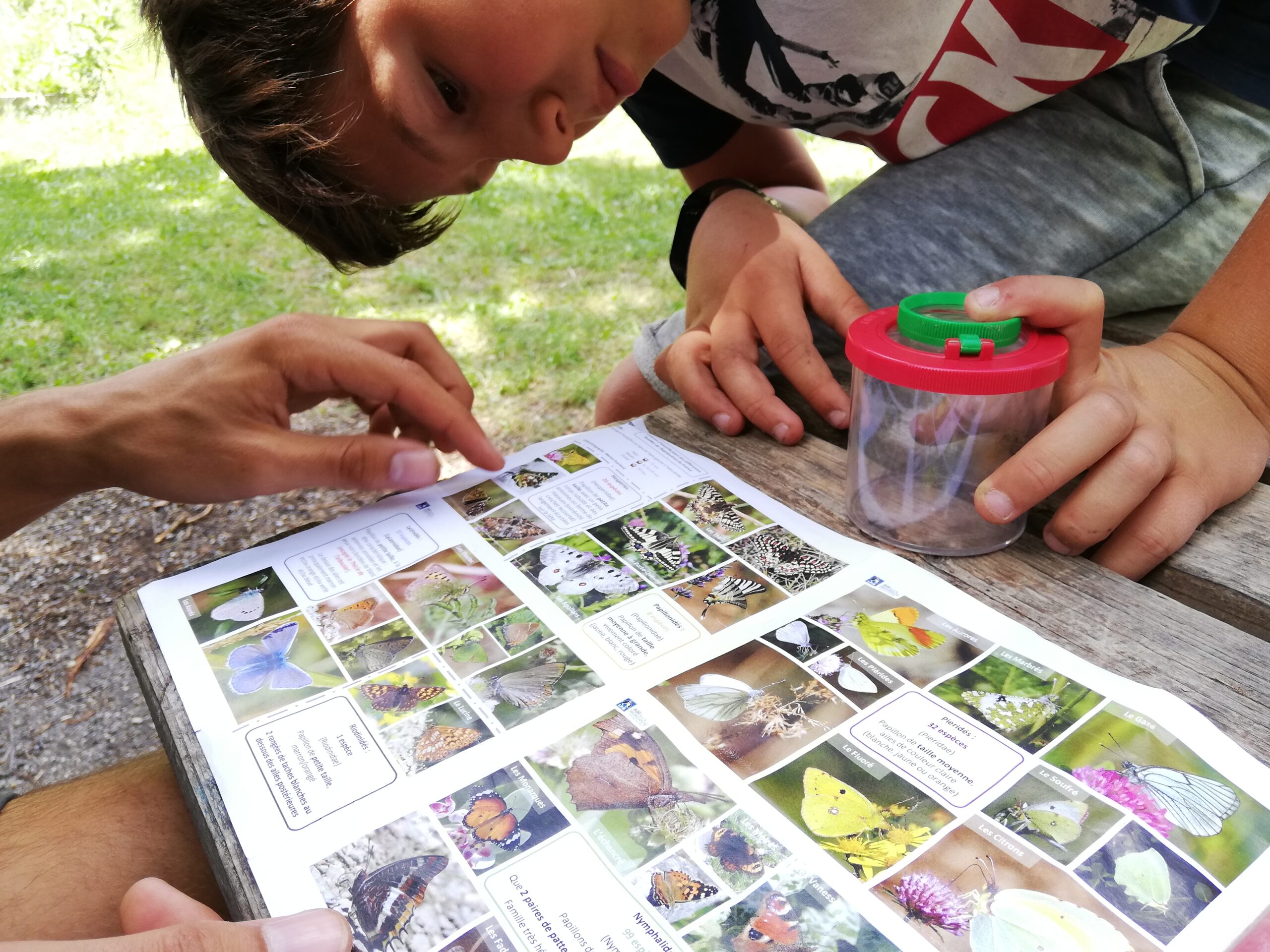 IMG_20210717_141856 Photo enfant découverte des insectes