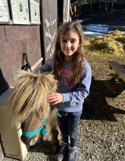 Enfant photo avec petit poney
